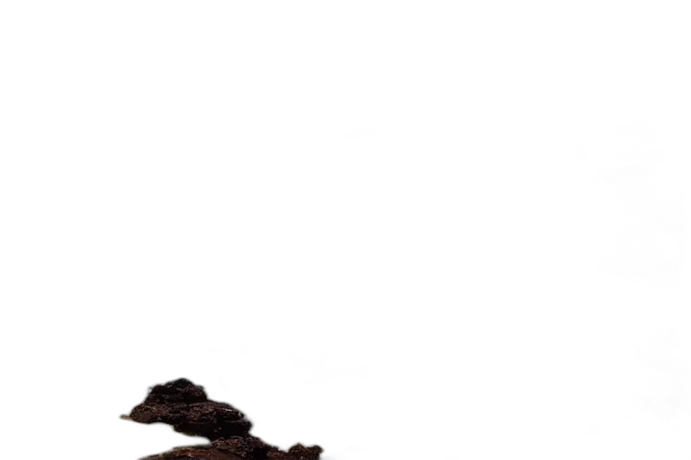 shoes, dragon, hair, food, photorealistic, concept art, 3d render, pixel art transparent PNG cut-out
