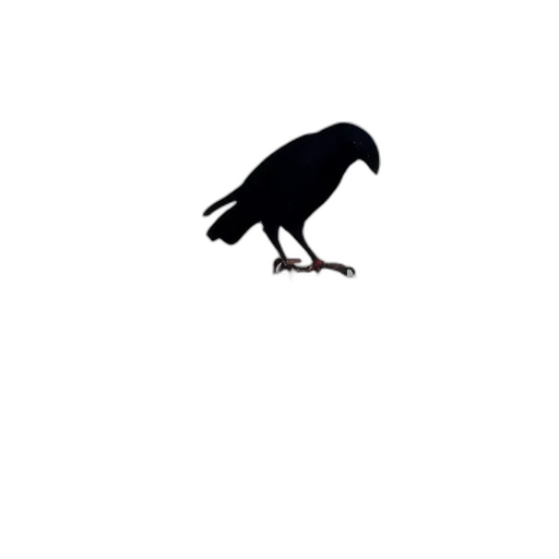 umbrella, animal, creature, hat transparent PNG cut-out
