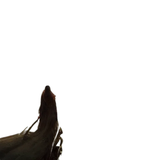 weapon, staff, shoes, sword, concept art, 3d render, photorealistic, fantasy art transparent PNG cut-out