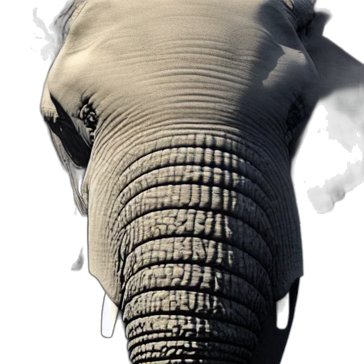 animal, mask, hat, creature transparent PNG cut-out