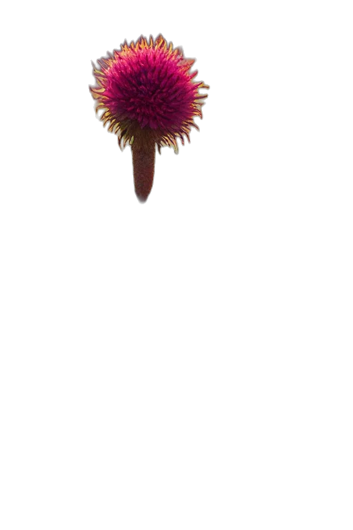 flower, hair, staff, crown, 3d render, photorealistic, concept art, earth tones transparent PNG cut-out