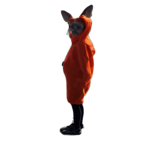 animal, creature, jacket, dress, 3d render, concept art, portrait, photo transparent PNG cut-out