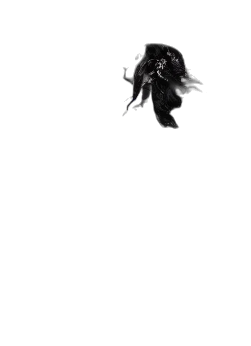 hair, creature, dragon, animal transparent PNG cut-out