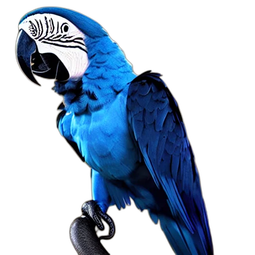 animal, staff, jewelry, mask transparent PNG cut-out