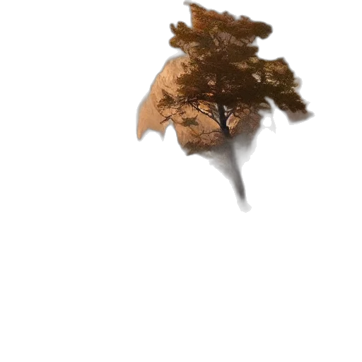 hair, tree, crown, mask transparent PNG cut-out