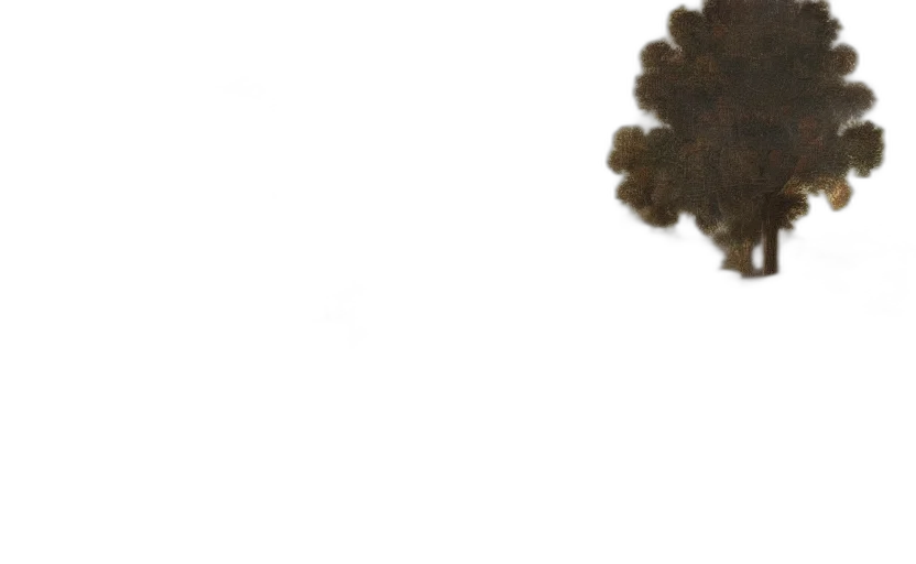 hair, tree, crown, mask transparent PNG cut-out