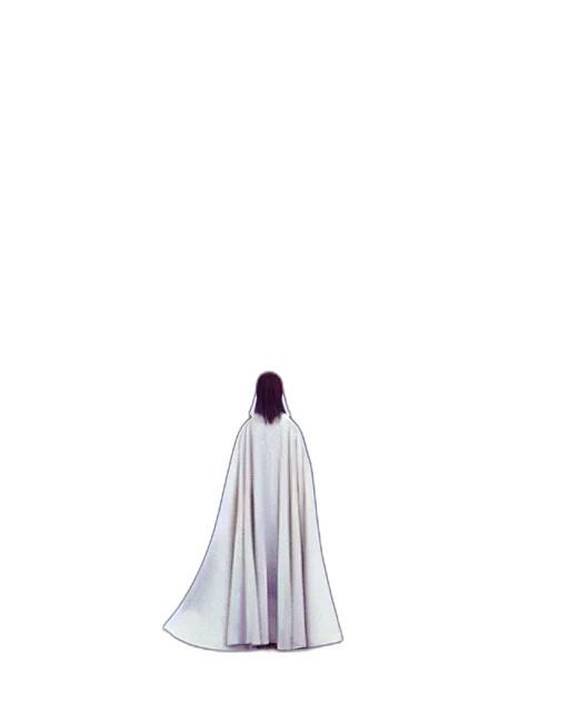 dress, creature, sword, robot transparent PNG cut-out