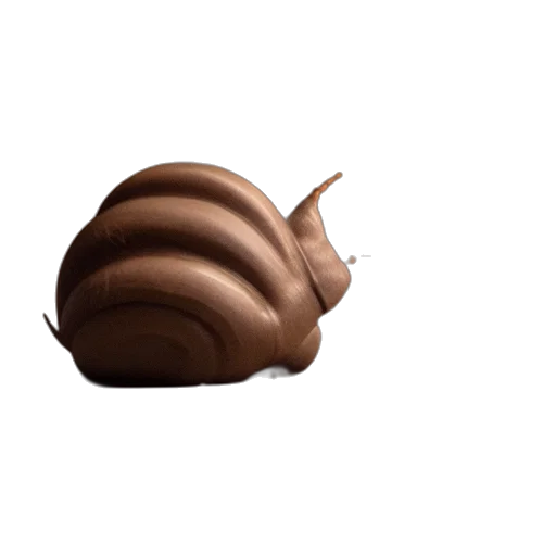 food, hat, animal, hair transparent PNG cut-out
