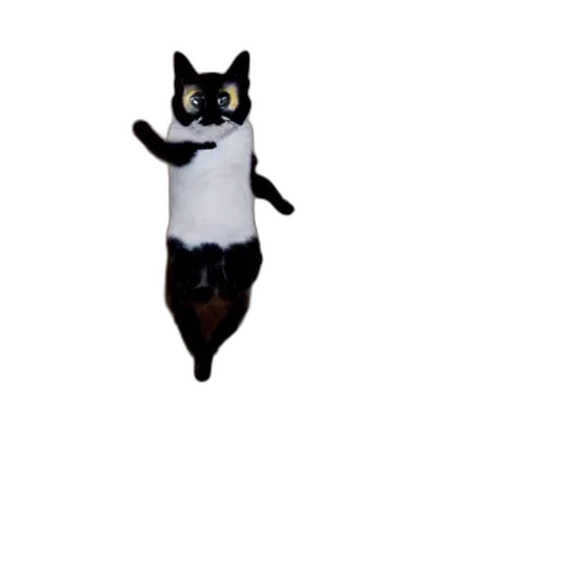 animal, creature, robot, staff, pixel art, 3d render, concept art, outer space transparent PNG cut-out