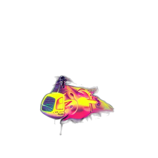 animal, shoes, creature, flower transparent PNG cut-out
