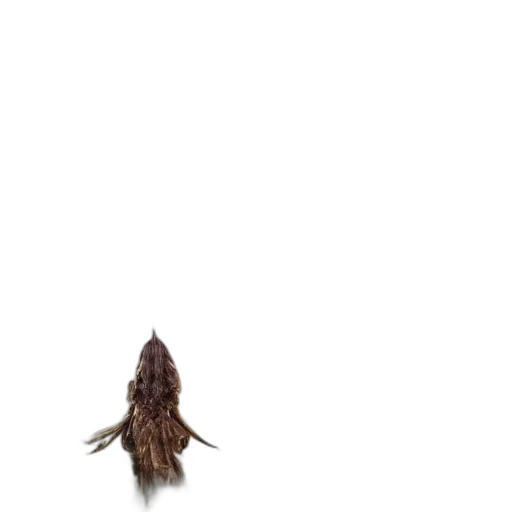 hair, hat, staff, animal, pixel art, 3d render, photorealistic, concept art transparent PNG cut-out