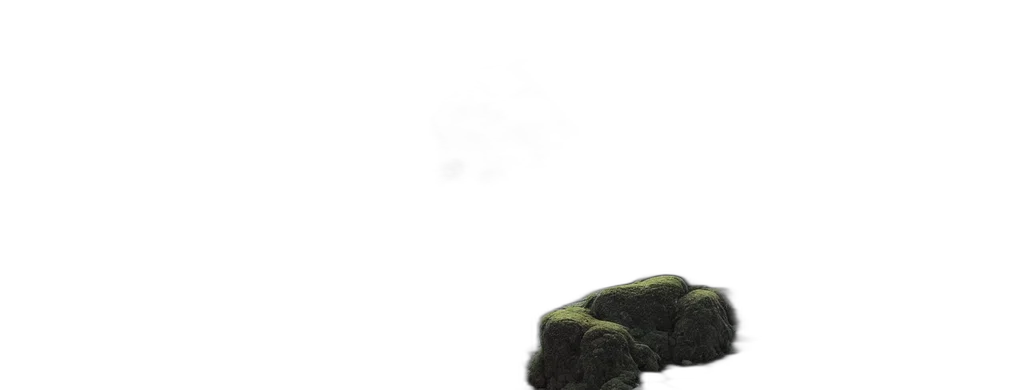 tree, car, shoes, dragon transparent PNG cut-out