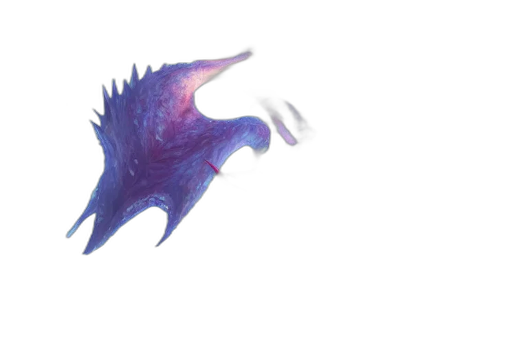 dragon, creature, animal, staff transparent PNG cut-out