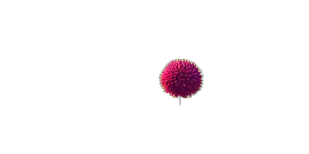 flower, umbrella, hair, crown, 3d render, photorealistic, pixel art, concept art transparent PNG cut-out