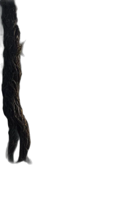 hair, staff, animal, creature transparent PNG cut-out