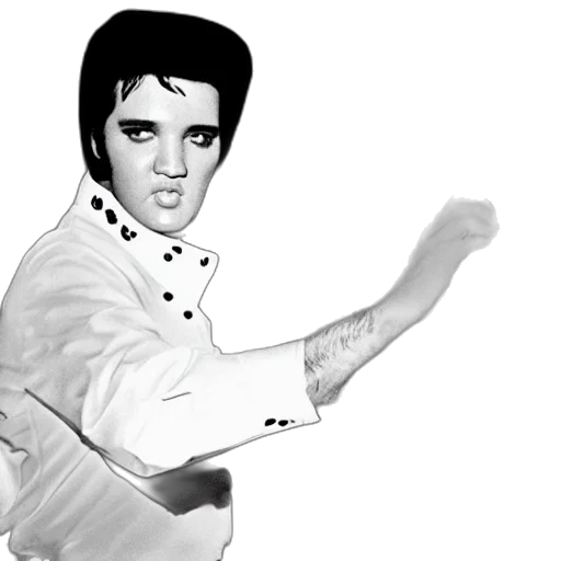 photorealistic, cartoon, elvis, presley, datacenter transparent PNG cut-out