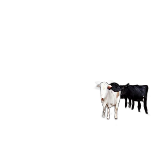animal, food, robot, creature, pixel art, concept art, 3d render, photorealistic transparent PNG cut-out