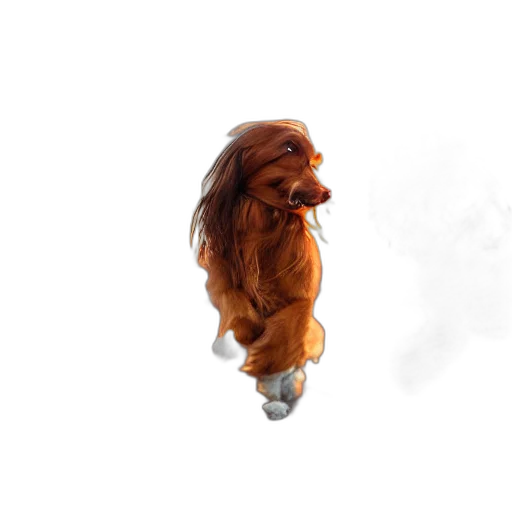 animal, creature, hair, dragon transparent PNG cut-out