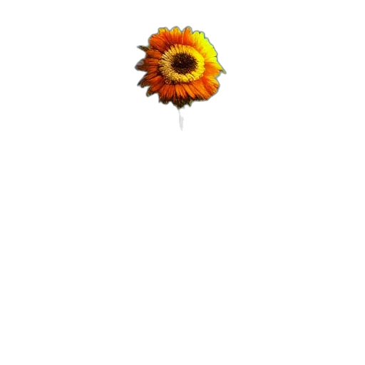 flower, crown, jewelry, staff transparent PNG cut-out