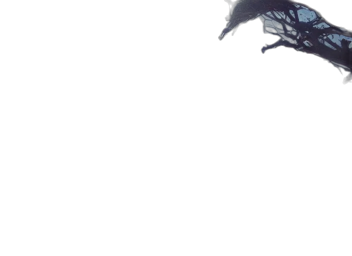 dragon, creature, animal, mask, concept art, photorealistic, 3d render, fantasy art transparent PNG cut-out