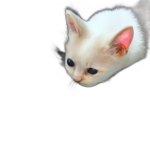 animal, creature, weapon, face transparent PNG cut-out