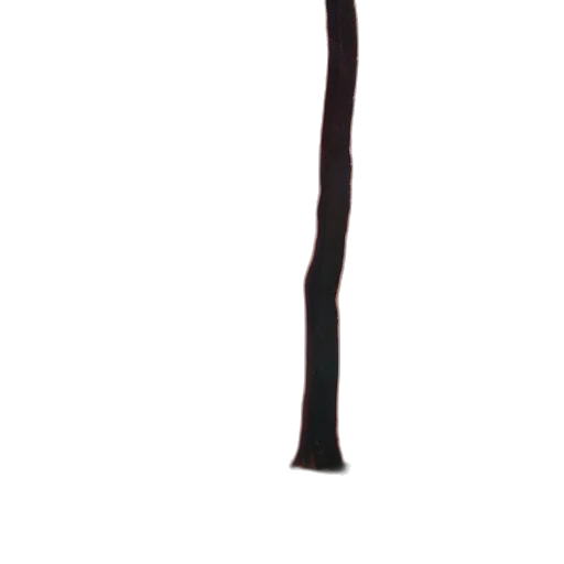 staff, sword, weapon, hair, 3d render, concept art, photorealistic, dark transparent PNG cut-out