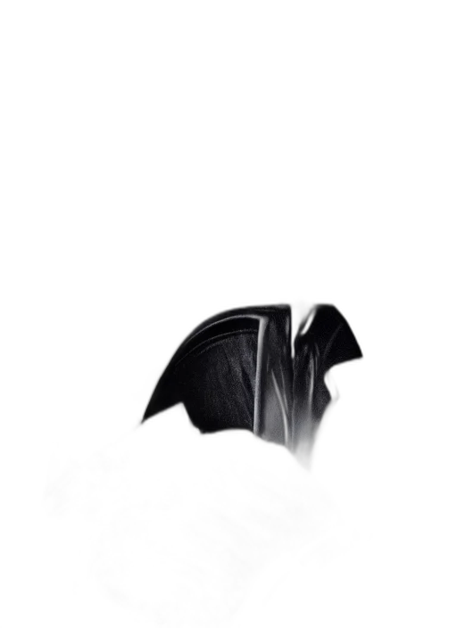 mask, umbrella, dragon, shoes transparent PNG cut-out