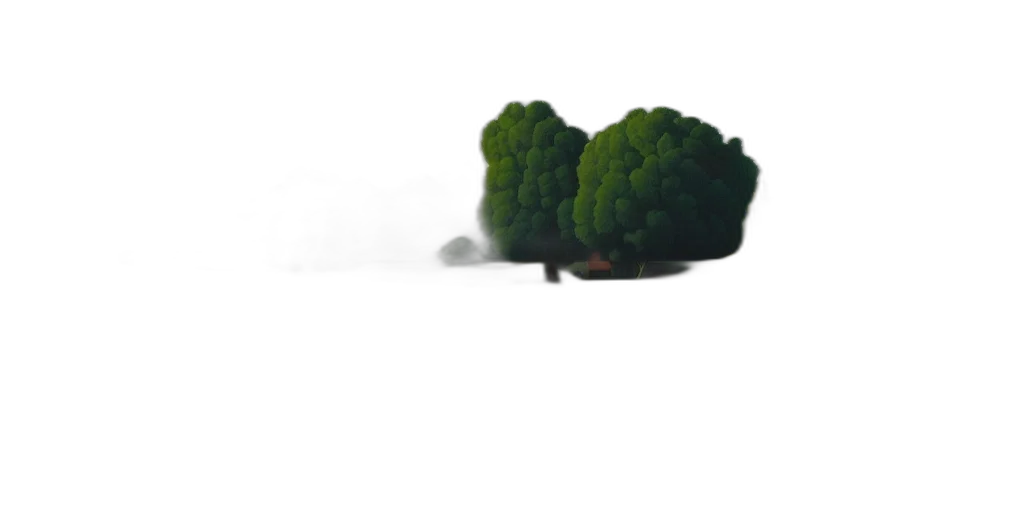 tree, crown, umbrella, hair transparent PNG cut-out
