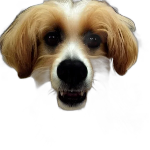 face, animal, mask, creature, photorealistic, 3d render, oil painting, cartoon transparent PNG cut-out