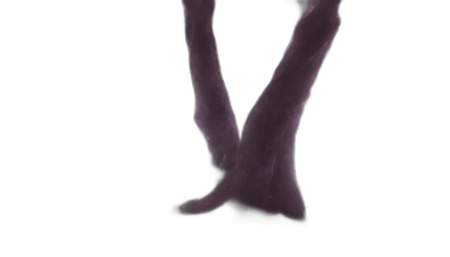 shoes, staff, hair, dress transparent PNG cut-out