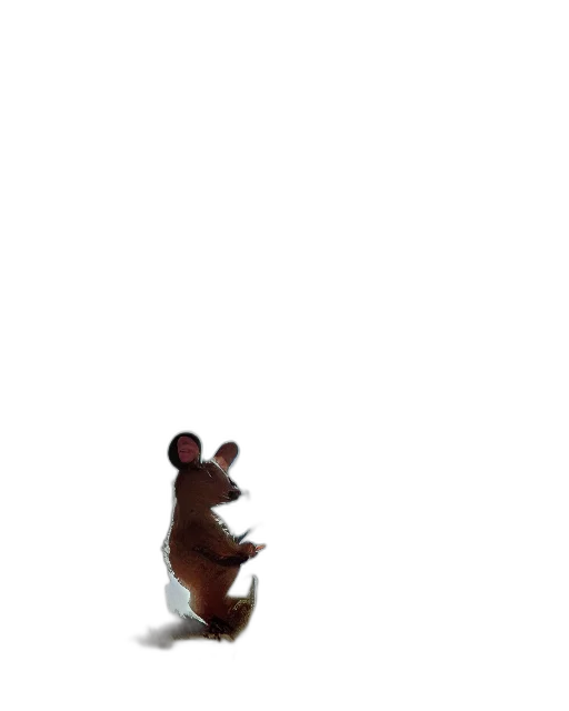 animal, creature, staff, hat transparent PNG cut-out