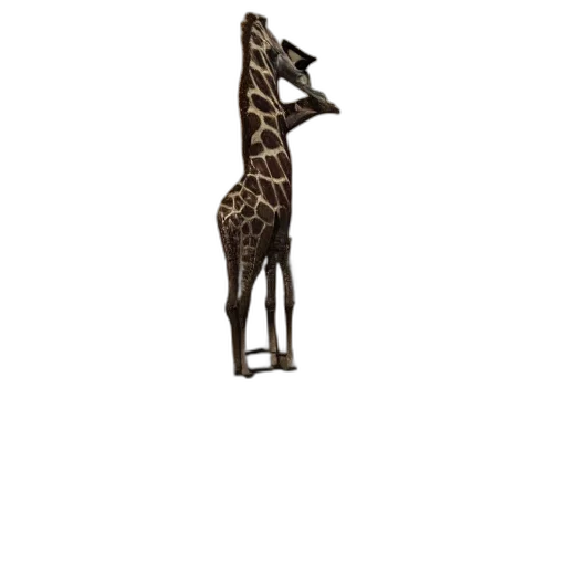 animal, creature, staff, furniture transparent PNG cut-out