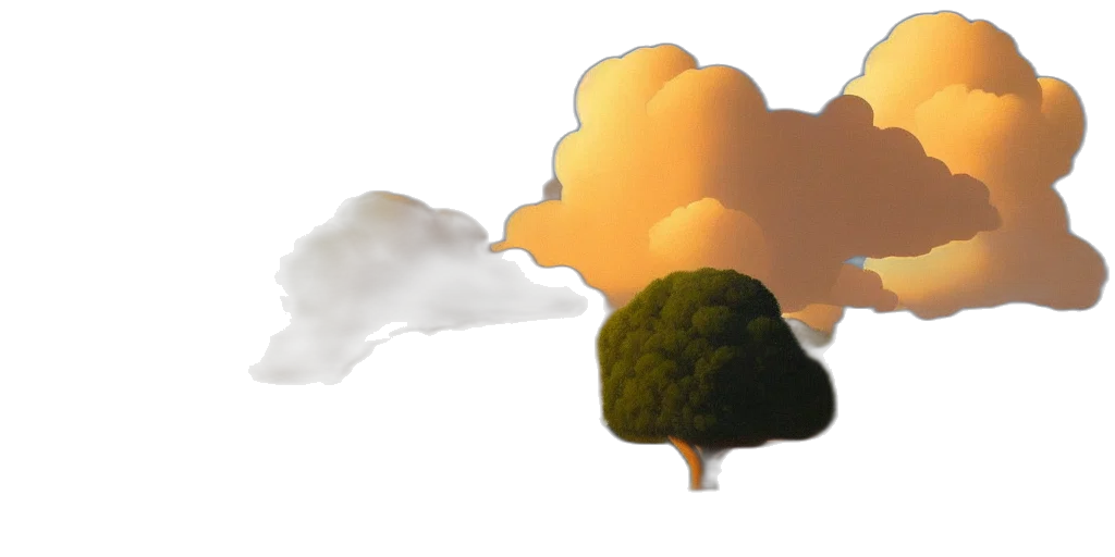 tree, umbrella, hat, crown transparent PNG cut-out