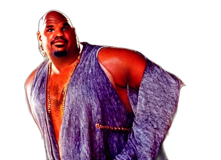 jacket, animal, film, still, sinbad, kazaam, movie transparent PNG cut-out
