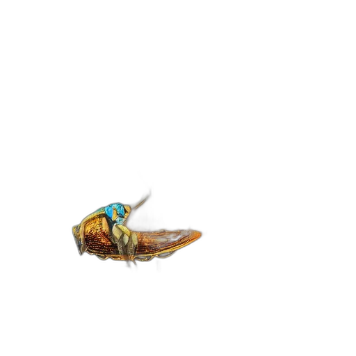 animal, creature, jewelry, staff transparent PNG cut-out