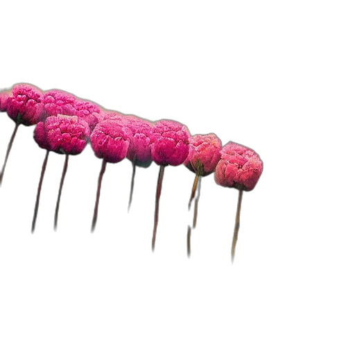 jewelry, umbrella, weapon, crown, 3d render, concept art, giant, carnation transparent PNG cut-out
