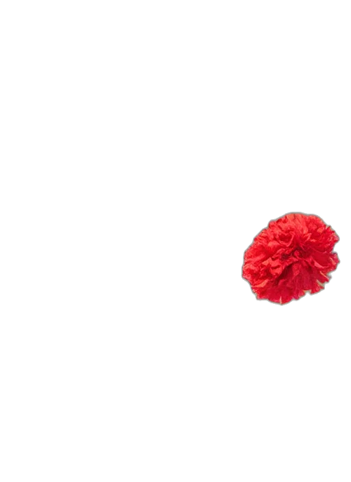 flower, crown, hat, jewelry transparent PNG cut-out