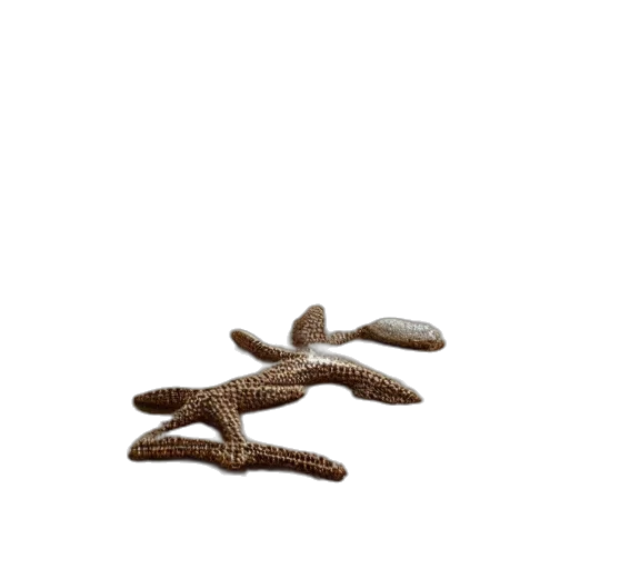 shoes, hair, jewelry, furniture transparent PNG cut-out