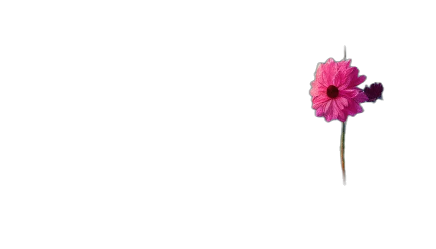 flower, staff, jewelry, umbrella transparent PNG cut-out