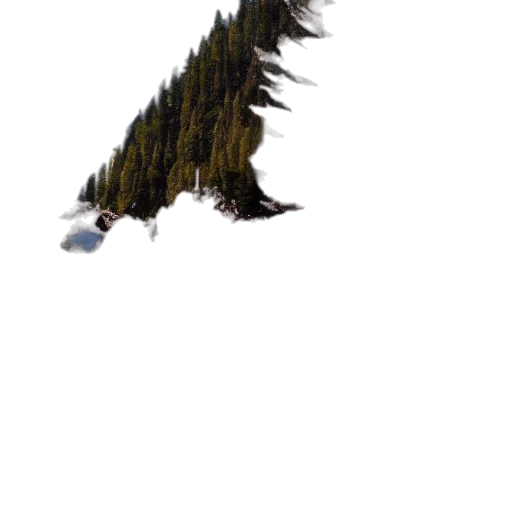 tree, dragon, creature, hair transparent PNG cut-out