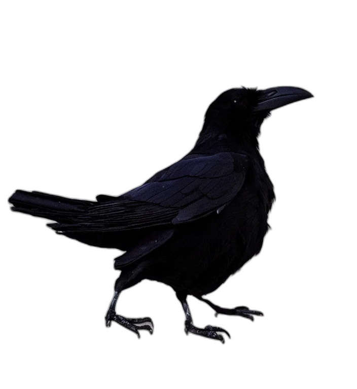 animal, creature, dress, staff, concept art, photorealistic, 3d render, pixel art transparent PNG cut-out