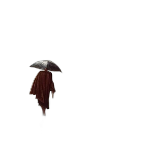 umbrella, hat, dress, jacket transparent PNG cut-out