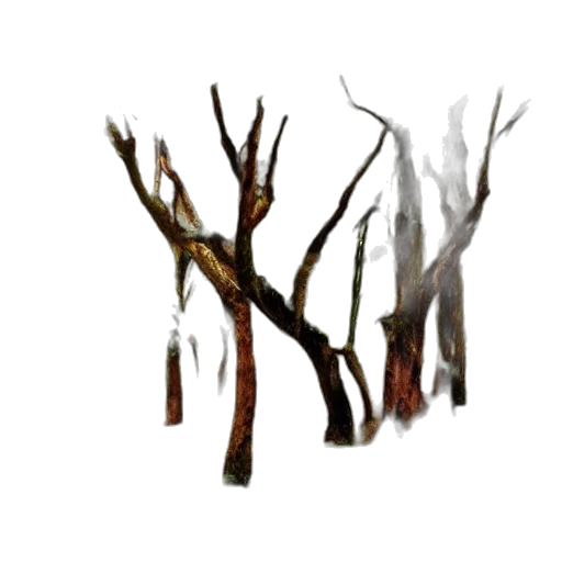 tree, staff, creature, hair transparent PNG cut-out