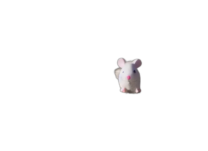 animal, creature, food, hat transparent PNG cut-out