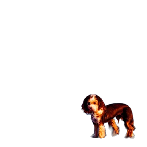 animal, creature, staff, hair, pixel art, 3d render, photorealistic, concept art transparent PNG cut-out