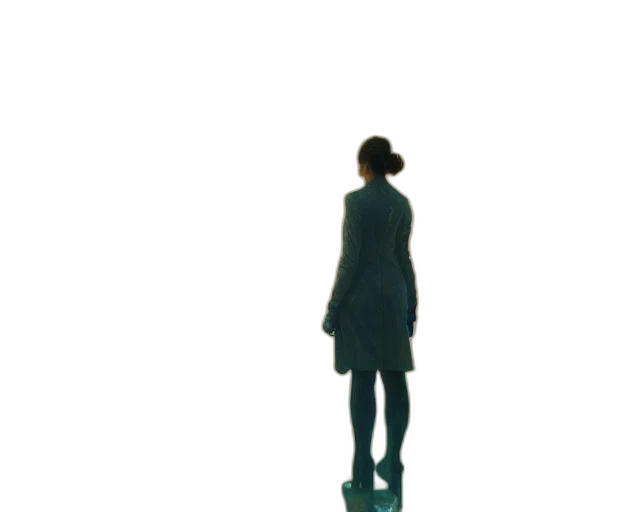 dress, staff, jacket, face transparent PNG cut-out
