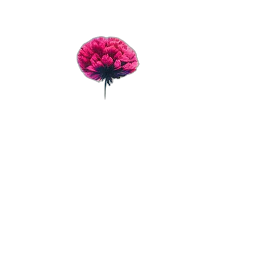 flower, crown, umbrella, hat, pixel art, 3d render, photorealistic, vaporwave transparent PNG cut-out