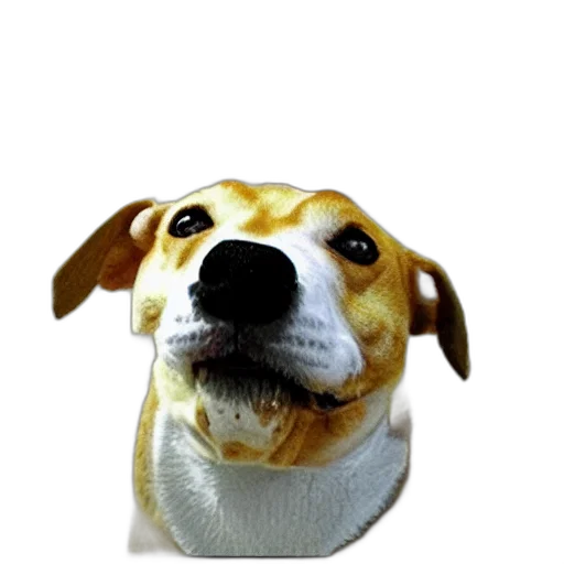 staff, animal, face, food transparent PNG cut-out