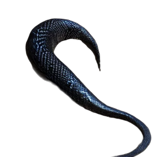staff, dragon, mask, creature transparent PNG cut-out