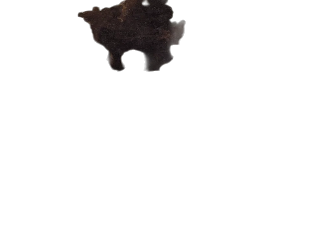 crown, jewelry, staff, food transparent PNG cut-out